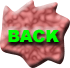 back-button